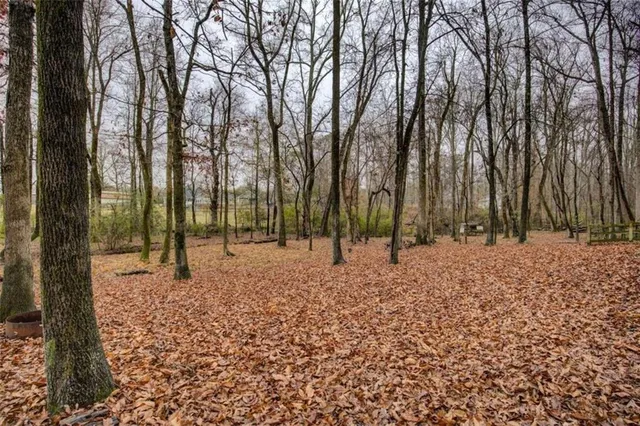 a backyard of a house with lots of green space