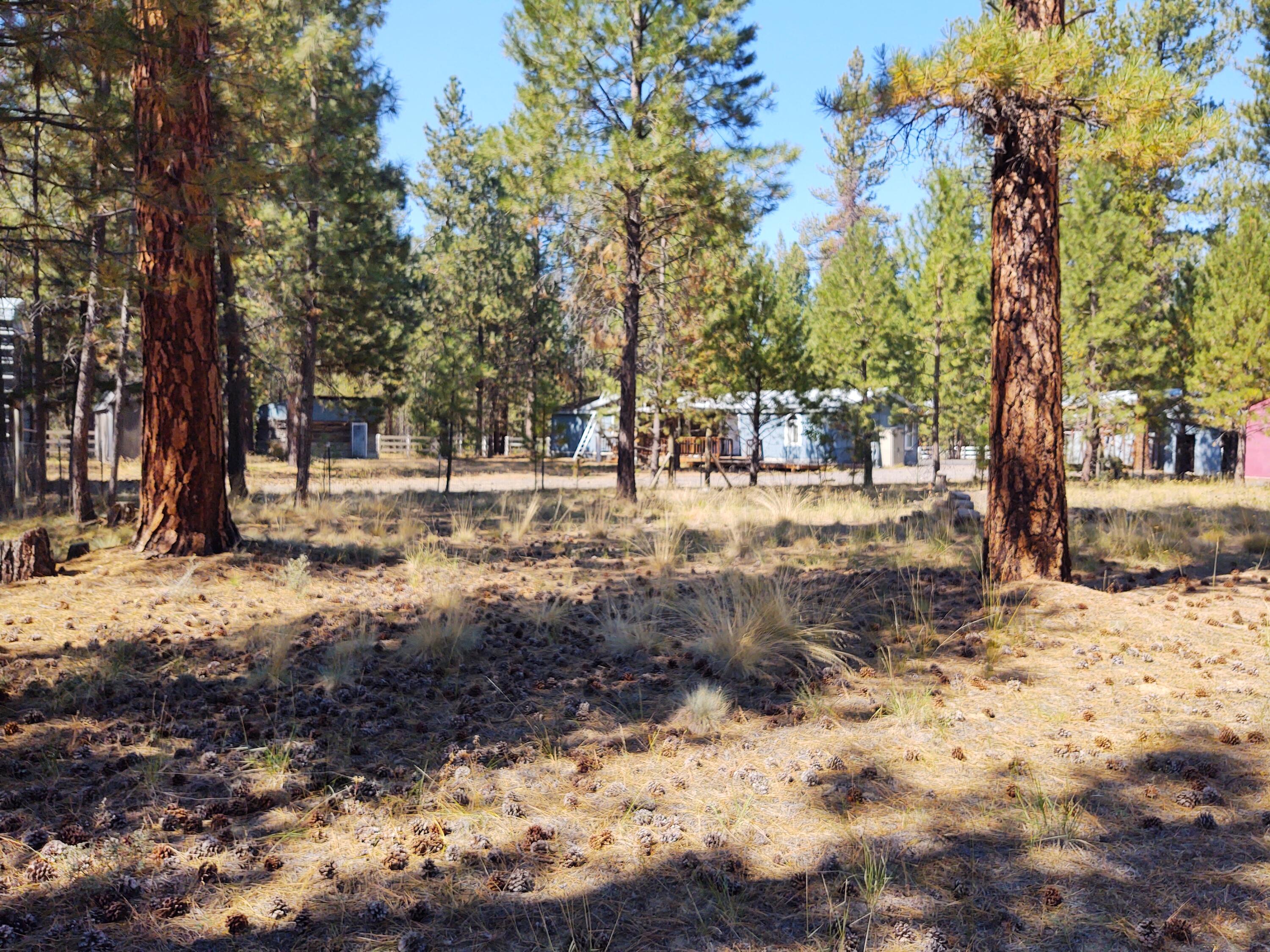 52739 Ammon Road La Pine, OR 97739 - Photo 3 of 12 IMG_20220905_140756278