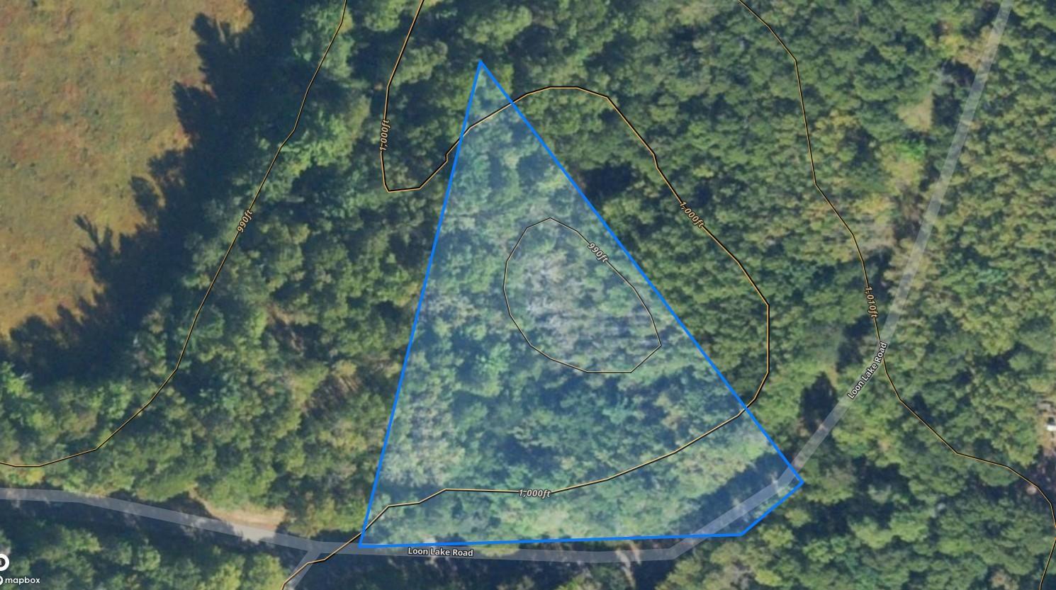 Lot 15 Loon Lake Road Danbury, WI 54830 - Photo 8 of 20