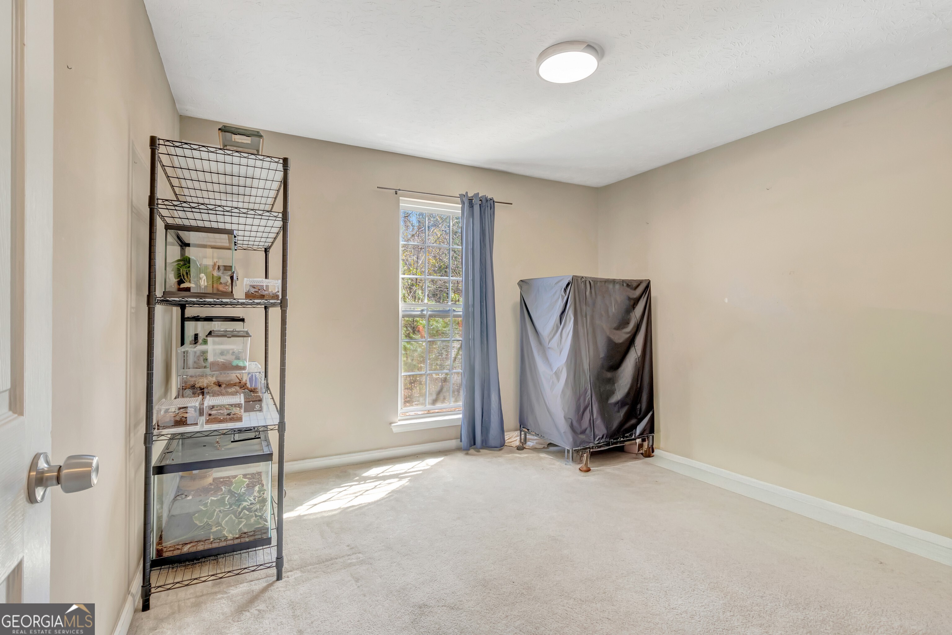 1136 County Line Church Road Warm Springs, GA 31830 - Photo 22 of 27