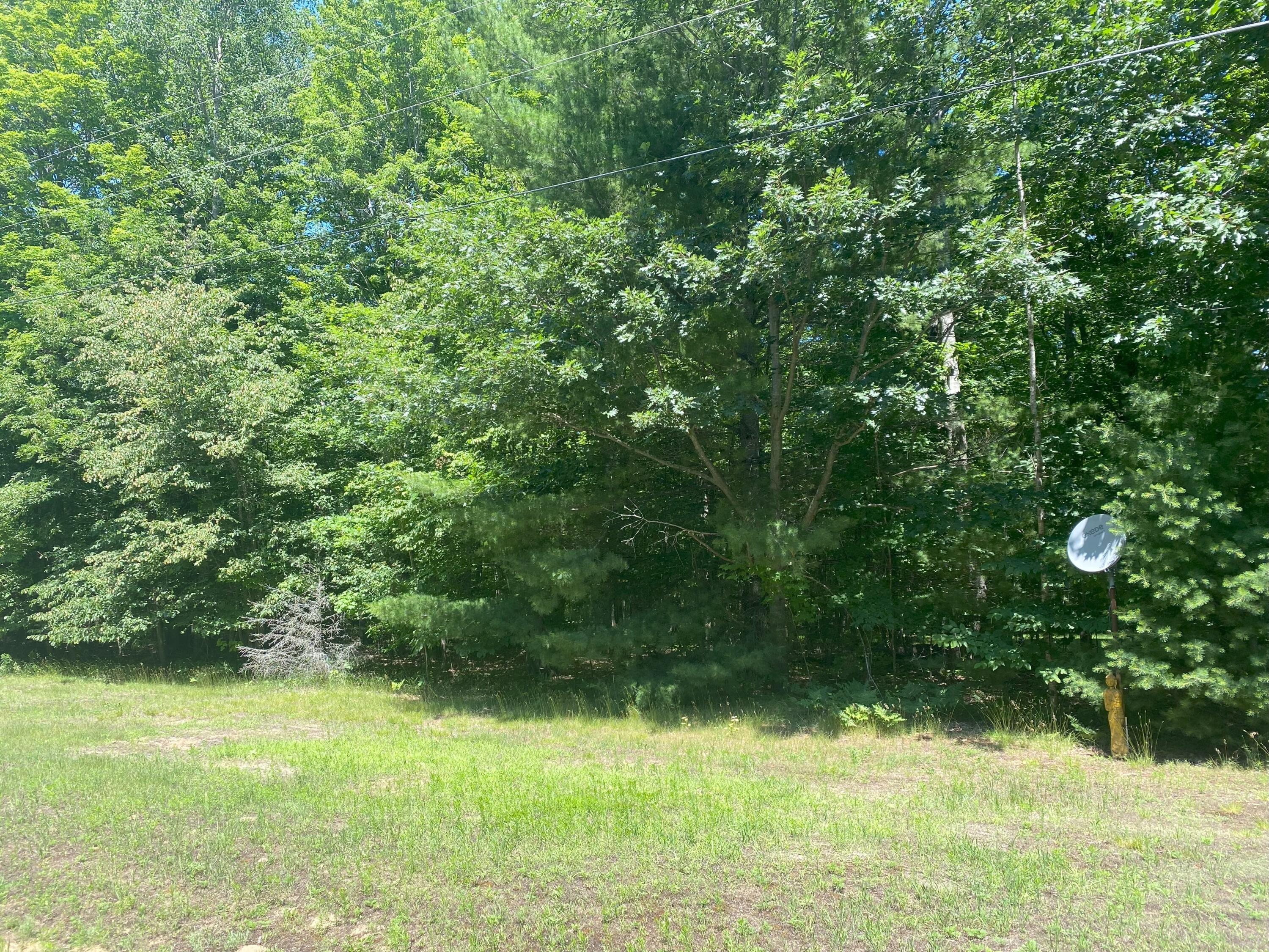 4621-4651 Long Lake Road Cheboygan, MI 49721 - Photo 36 of 46 Gallery Image 36