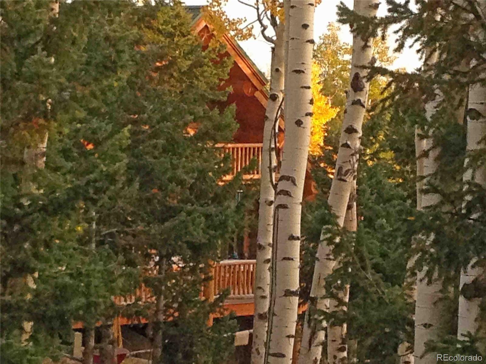 1876 Pitchfork Road Hartsel, CO 80449 - Photo 21 of 22