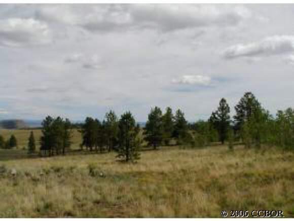 4564 Campfire Road Hartsel, CO 80449 - Photo 1 of 1 Gallery Image 1
