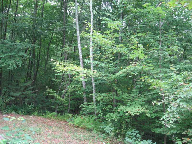 37 Sunset Road Glocester, RI 02814 - Photo 16 of 16 Yard/Garden.