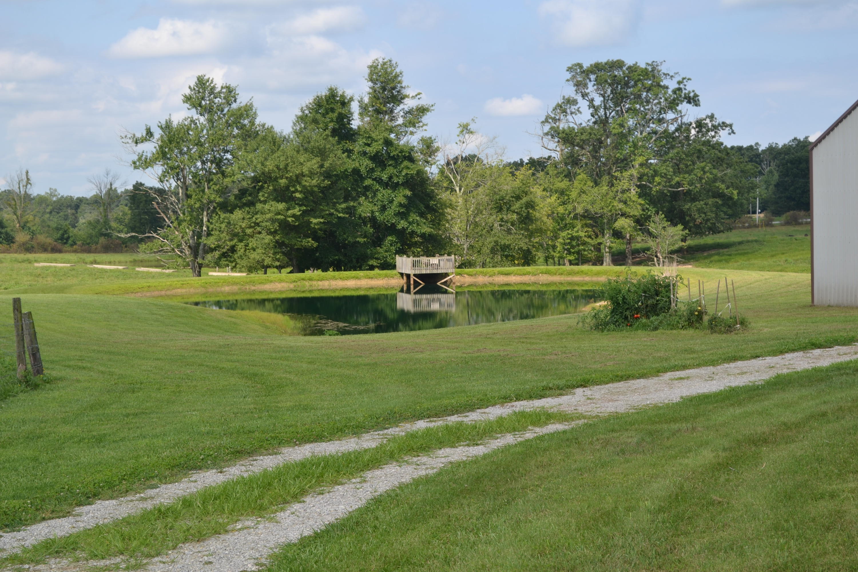 2350 Todd Road Clarkrange, TN 38553 - Photo 30 of 38 Looking at the Pond