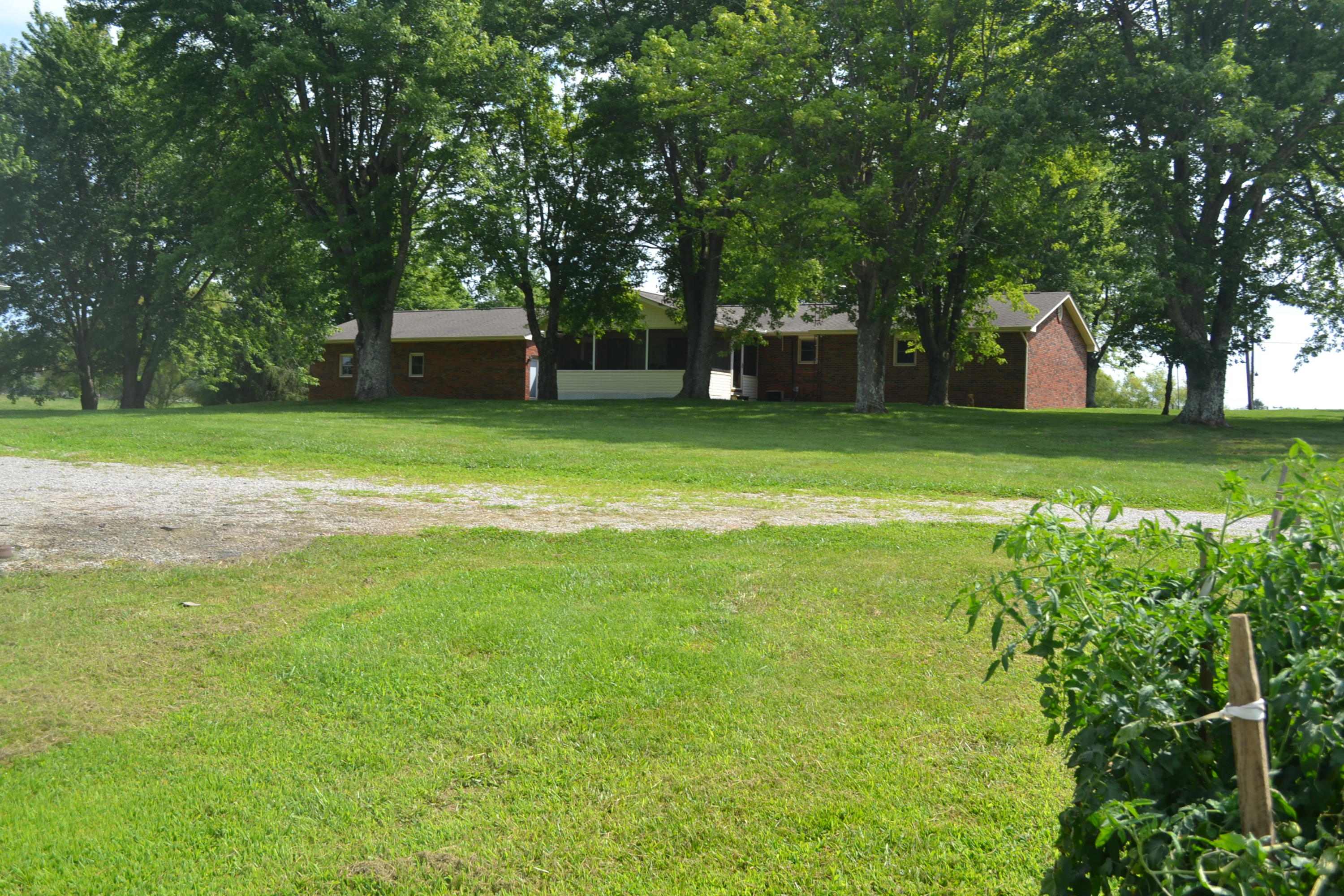 2350 Todd Road Clarkrange, TN 38553 - Photo 36 of 38 Back Yard