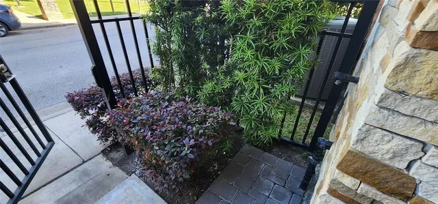 a view of a backyard