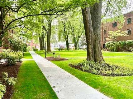 $3,500 | 110 Sewall Avenue, Unit 1, Brookline, MA 02446