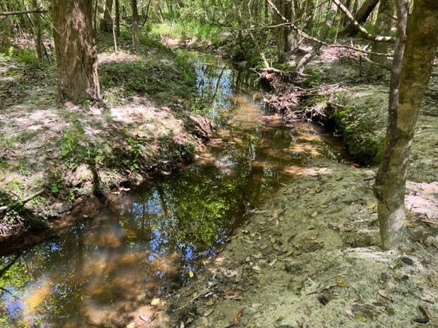 0 Old Boggy Road Opp, AL 36467 - Photo 21 of 24 Gallery Image 21