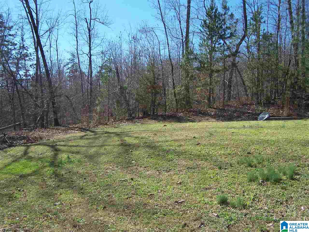 395 Easter Road Remlap, AL 35133 - Photo 18 of 27