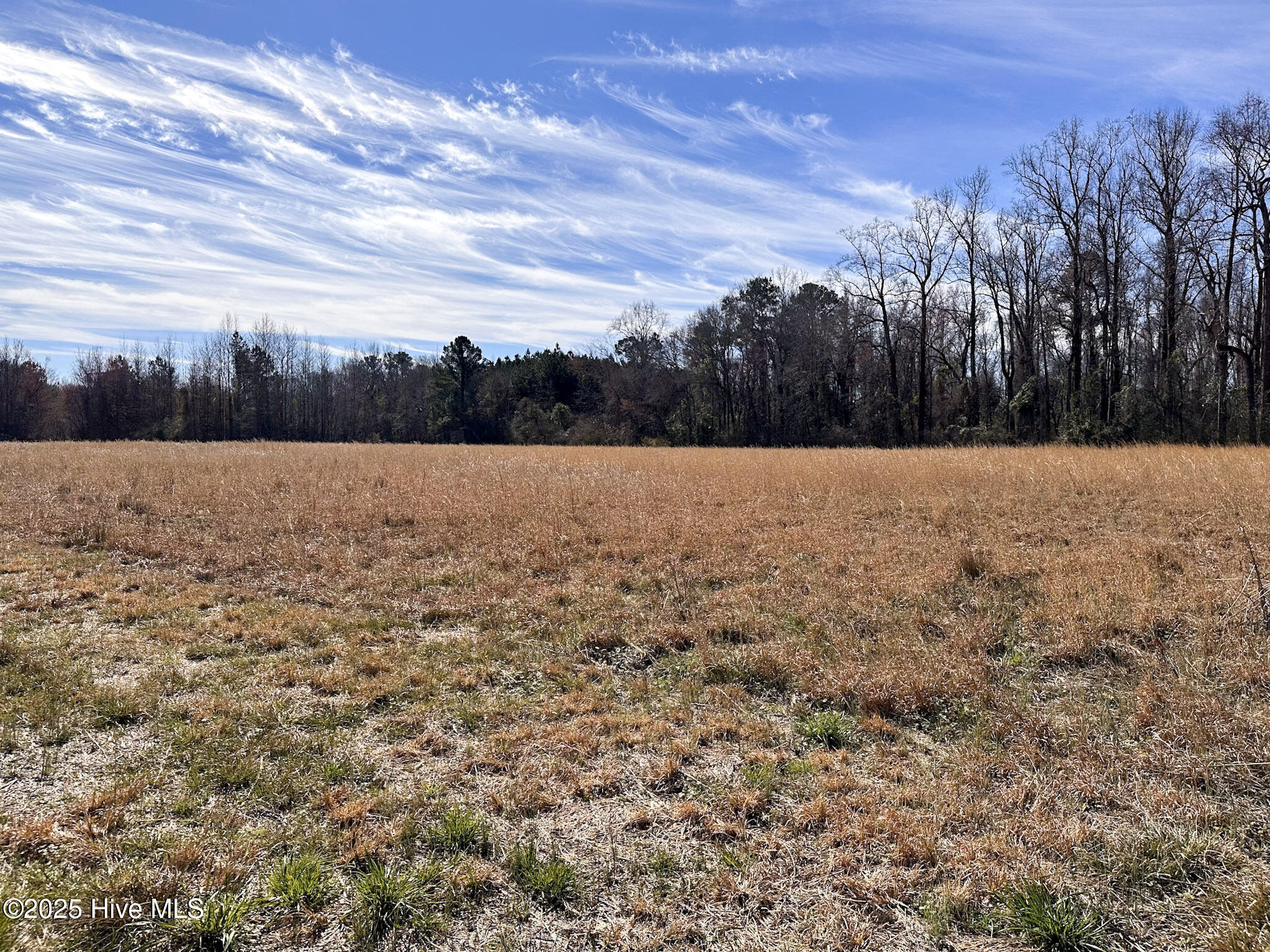 1 Snake Road Lumberton, NC 28358 - Photo 11 of 11 IMG_6584