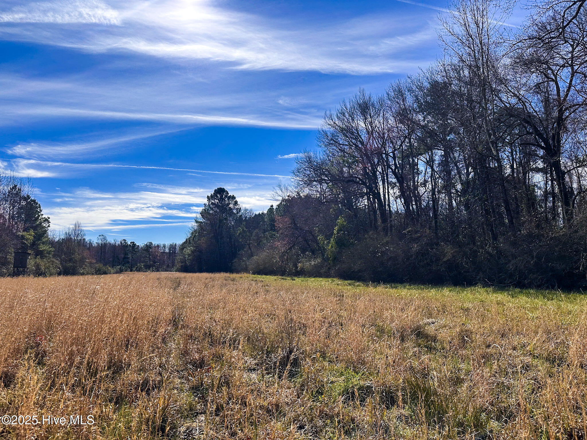 1 Snake Road Lumberton, NC 28358 - Photo 3 of 11 IMG_6500