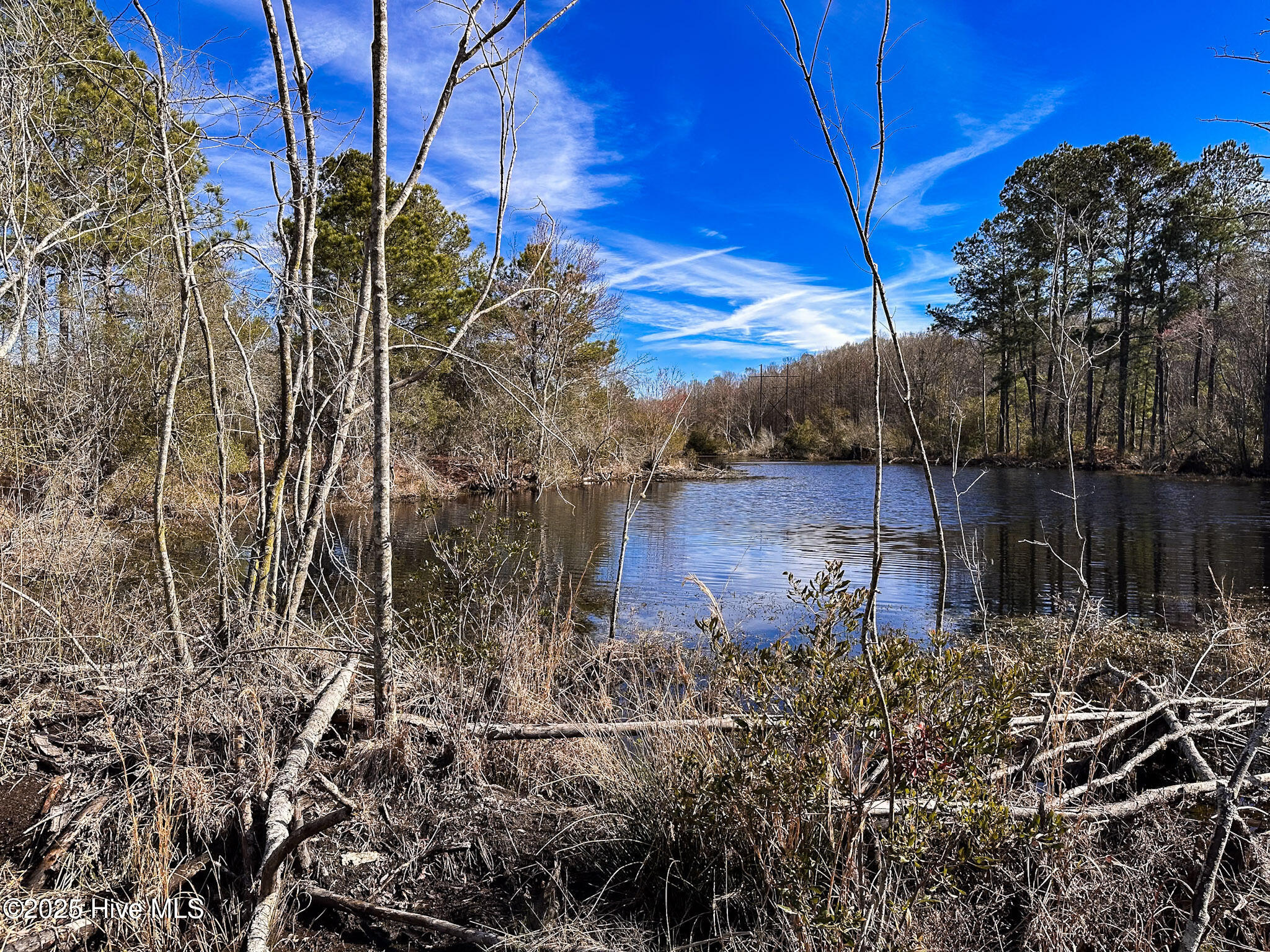 1 Snake Road Lumberton, NC 28358 - Photo 5 of 11 IMG_6507