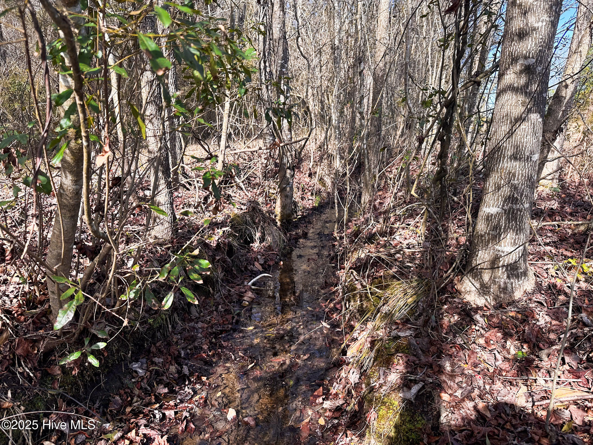 1 Snake Road Lumberton, NC 28358 - Photo 6 of 11 IMG_6517