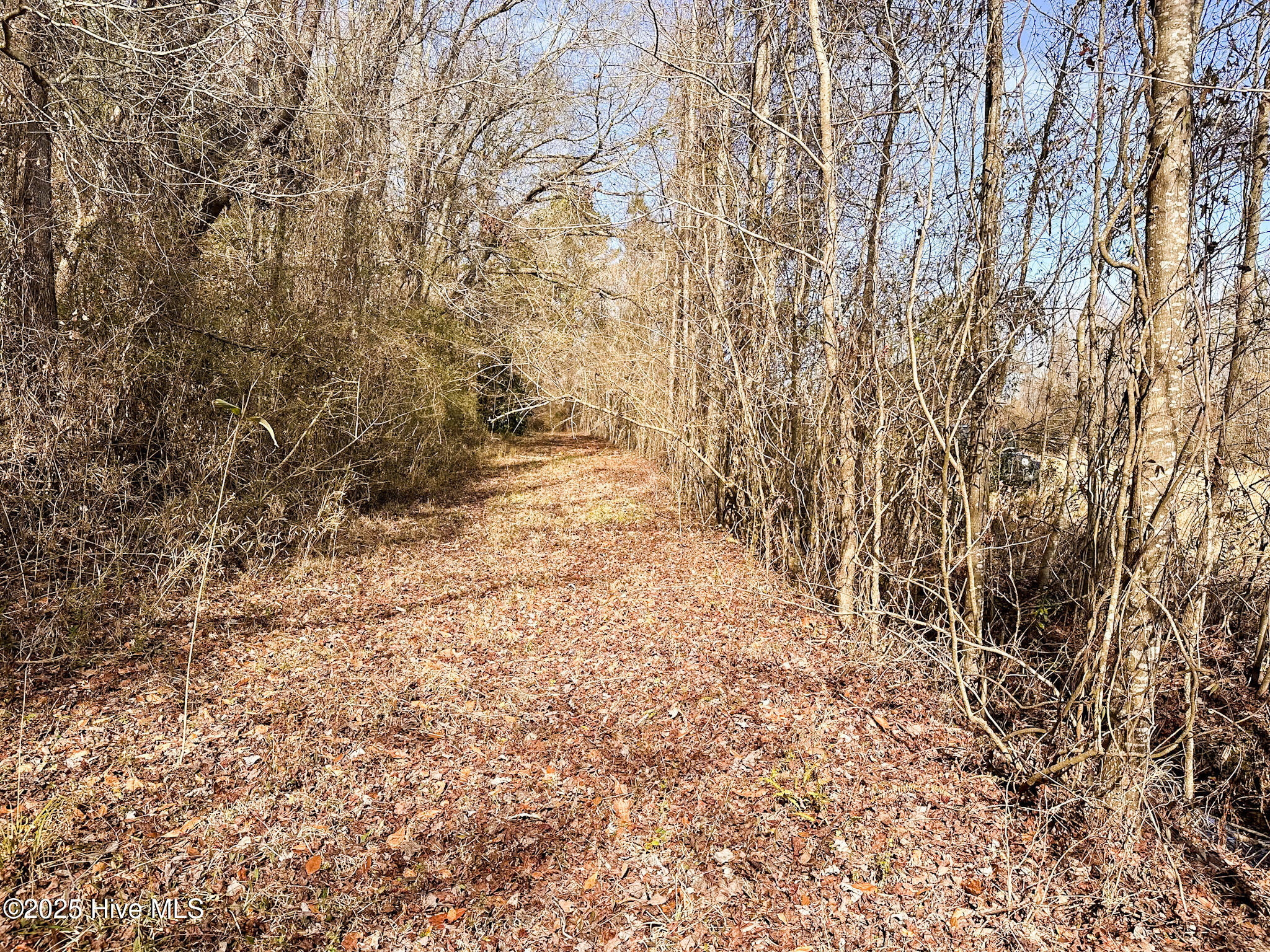 1 Snake Road Lumberton, NC 28358 - Photo 7 of 11 IMG_6520