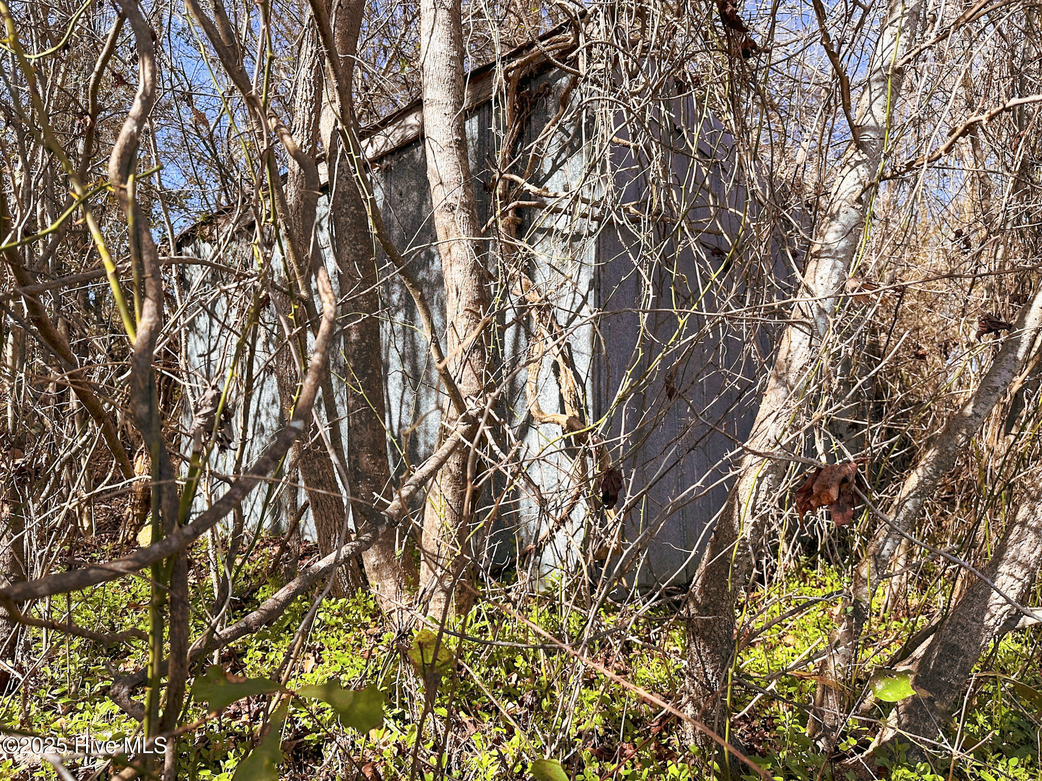 1 Snake Road Lumberton, NC 28358 - Photo 9 of 11 IMG_6574