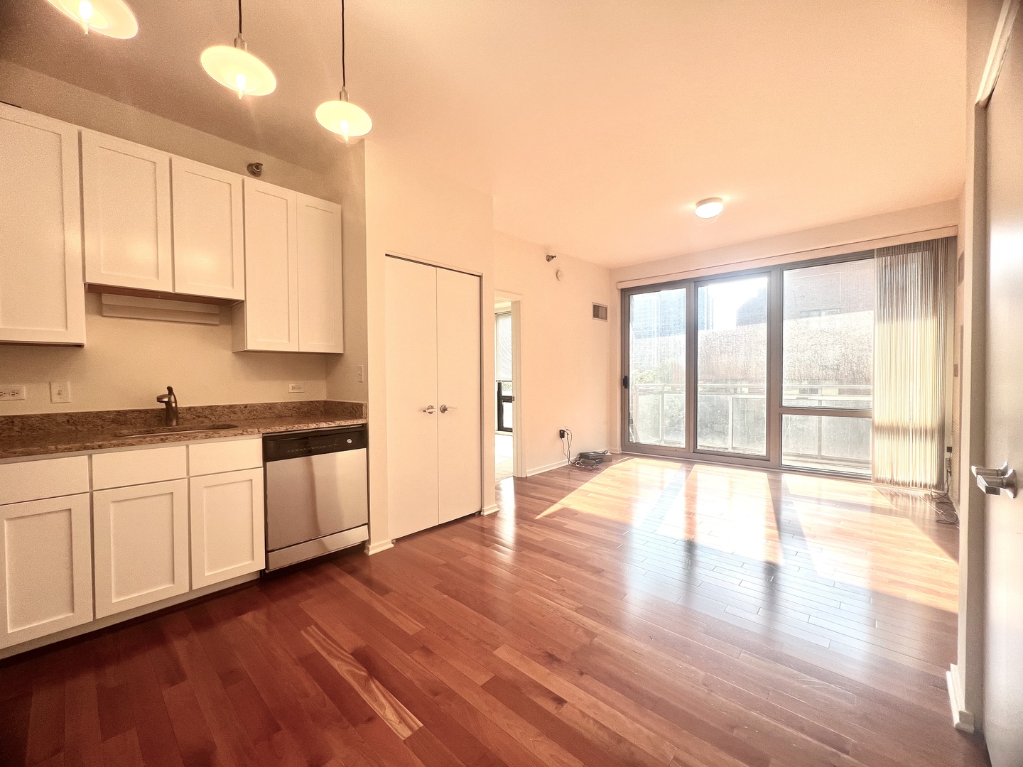 1 East 8th Street, Unit 307 Chicago, IL 60605 - Photo 3 of 23 a open kitchen with granite countertop a stove top oven a sink and white cabinets with wooden floor