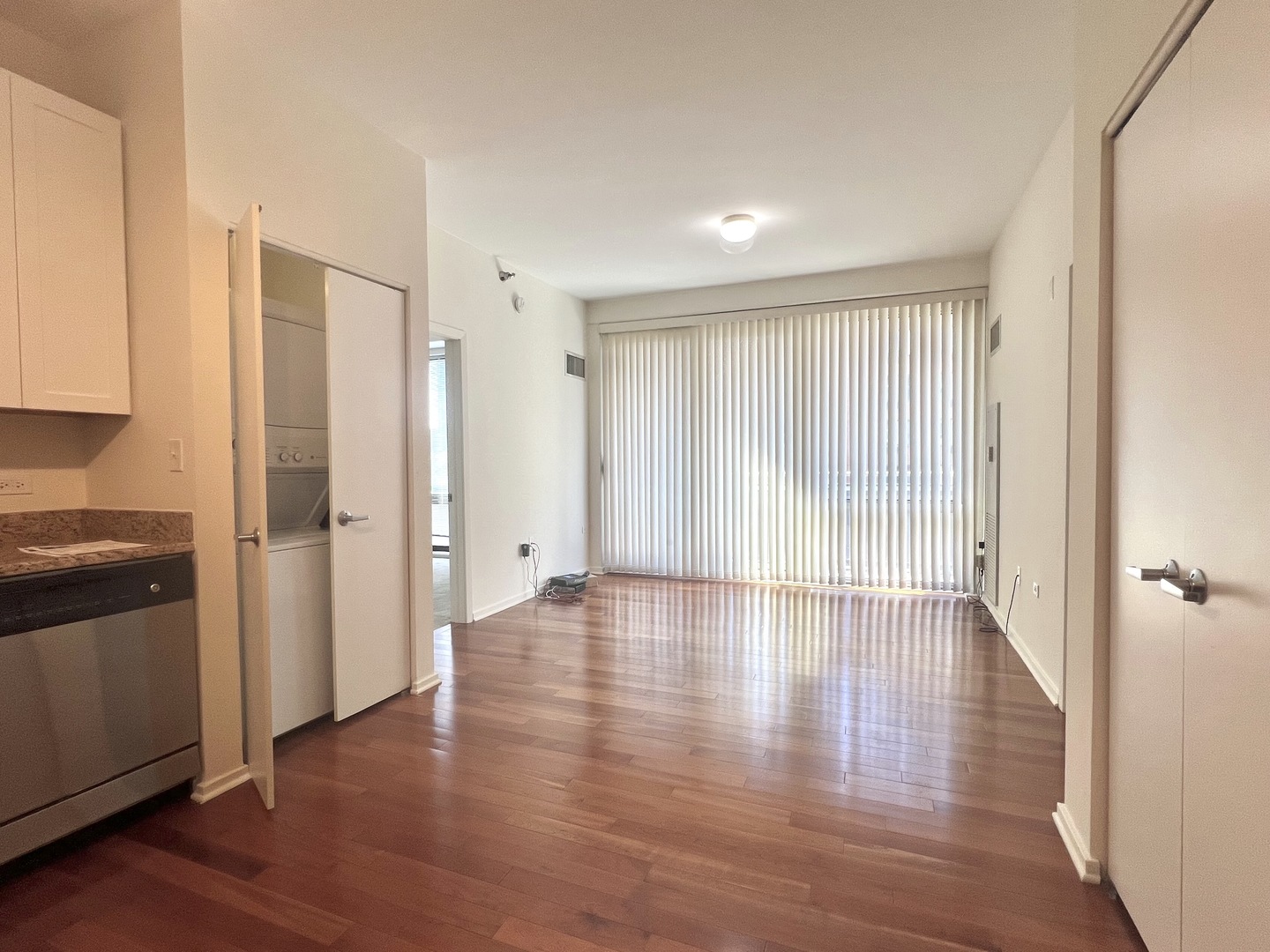 1 East 8th Street, Unit 307 Chicago, IL 60605 - Photo 4 of 23 an empty room with wooden floor and windows