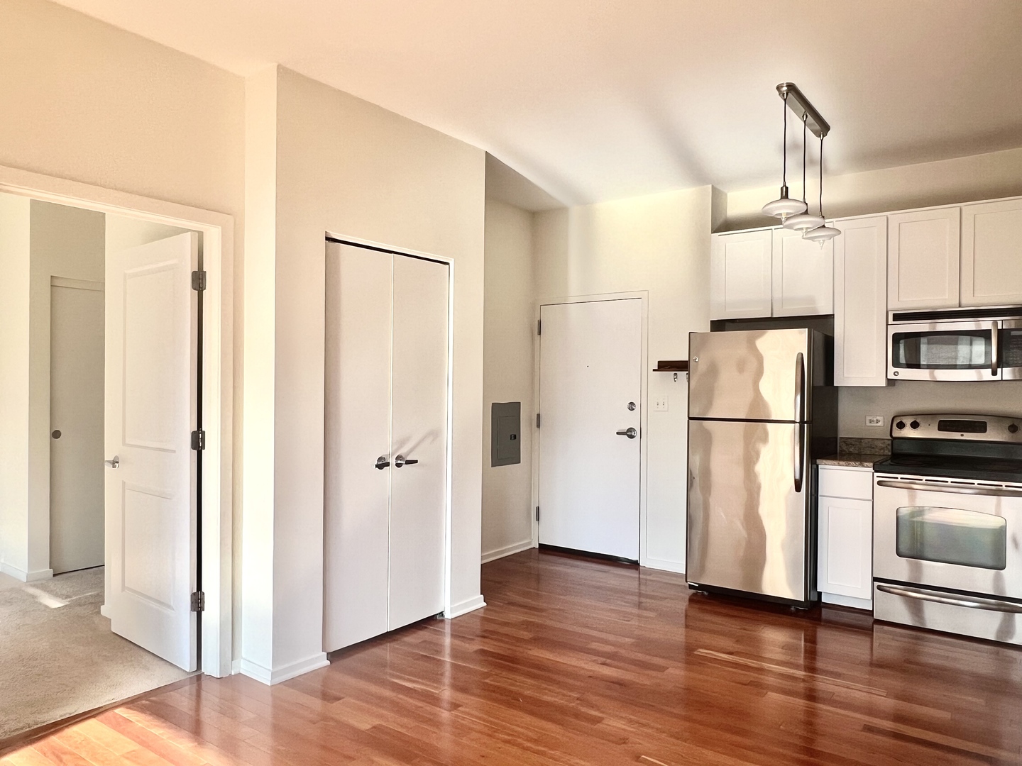1 East 8th Street, Unit 307 Chicago, IL 60605 - Photo 6 of 23 a kitchen with stainless steel appliances a refrigerator and a hard wood floor