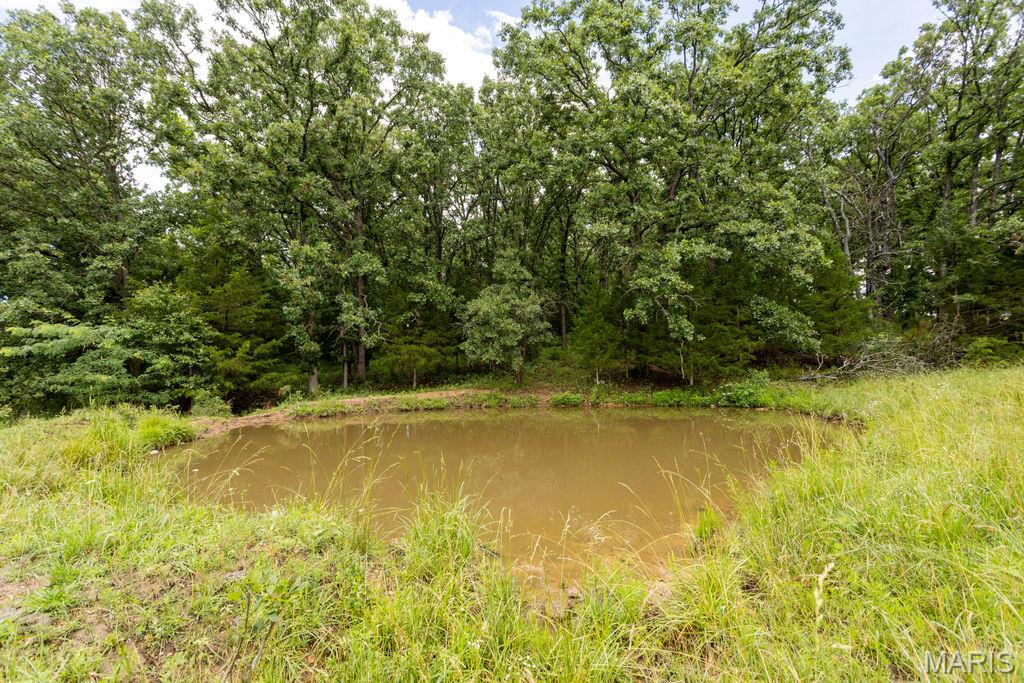 30-ac South 220th Road Half Way, MO 65663 - Photo 8 of 49