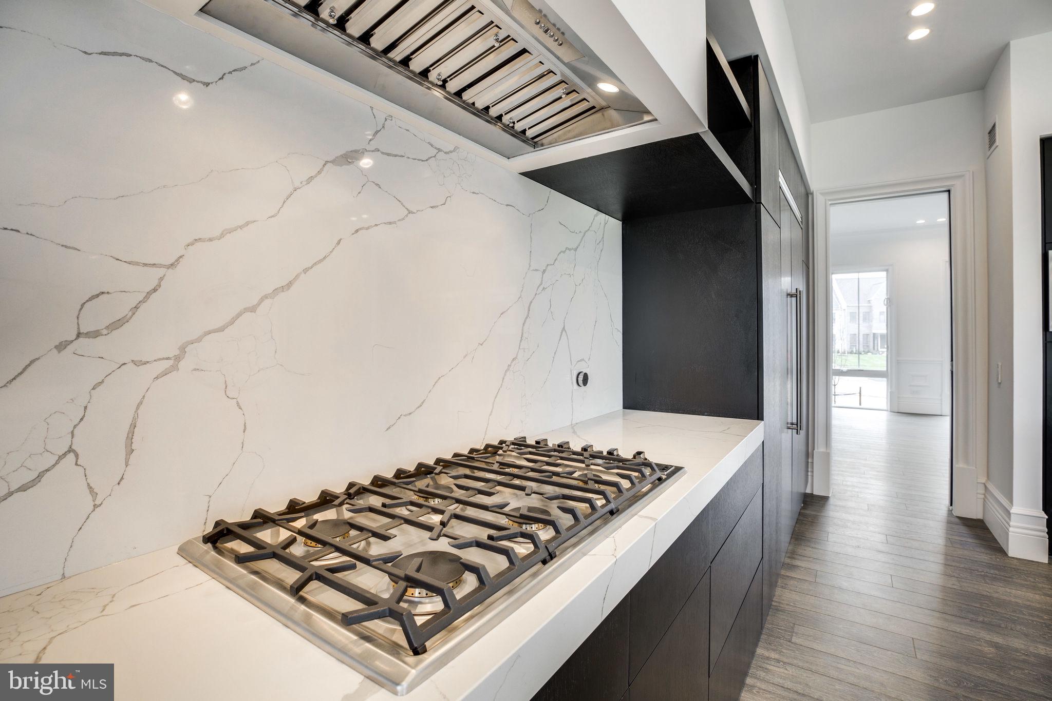 23075 Red Sunset Place Aldie, VA 20105 - Photo 25 of 89 Kitchen 5-burner cooktop