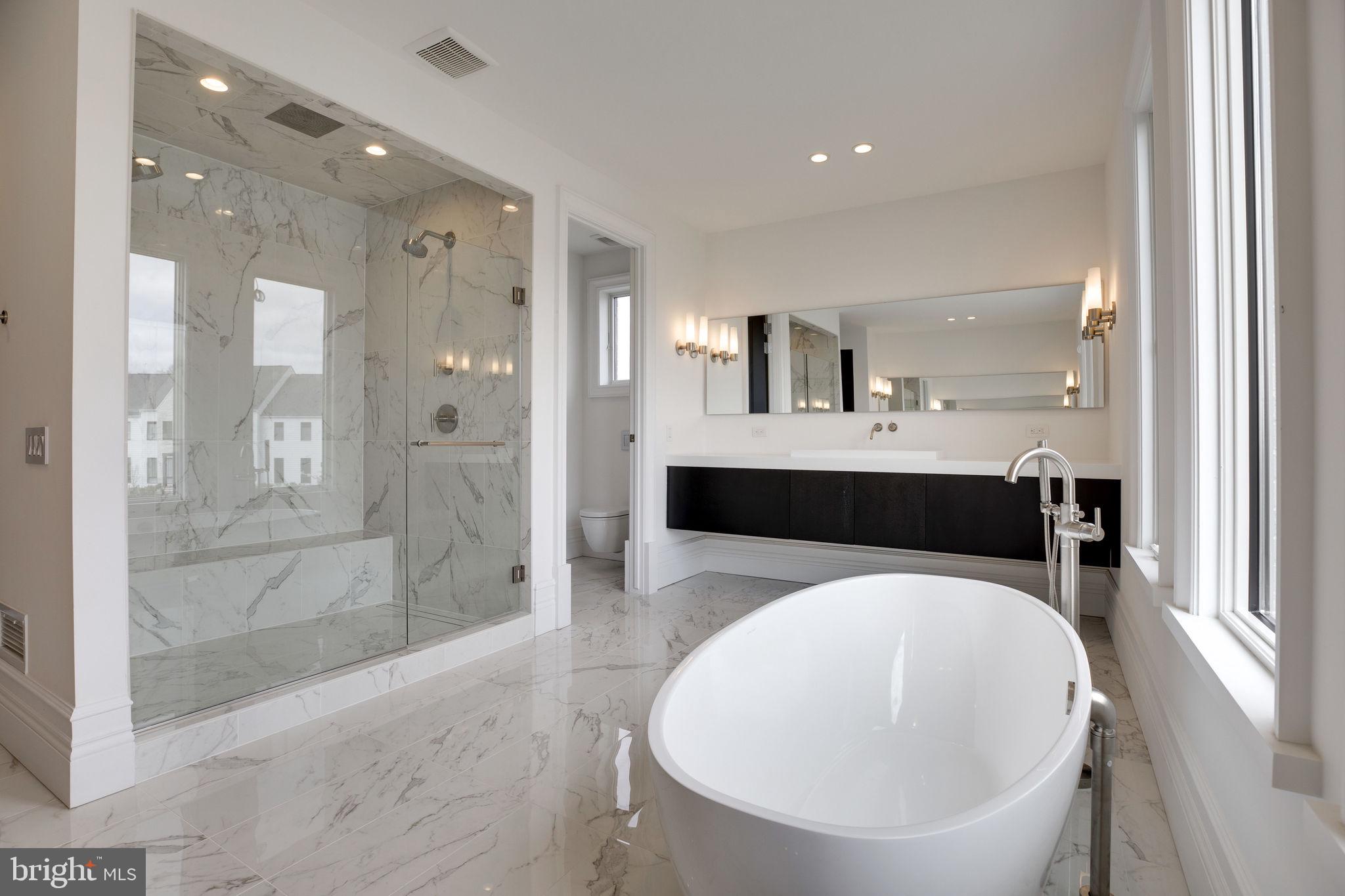 23075 Red Sunset Place Aldie, VA 20105 - Photo 60 of 89 Owner's Bath with spa shower & rain shower