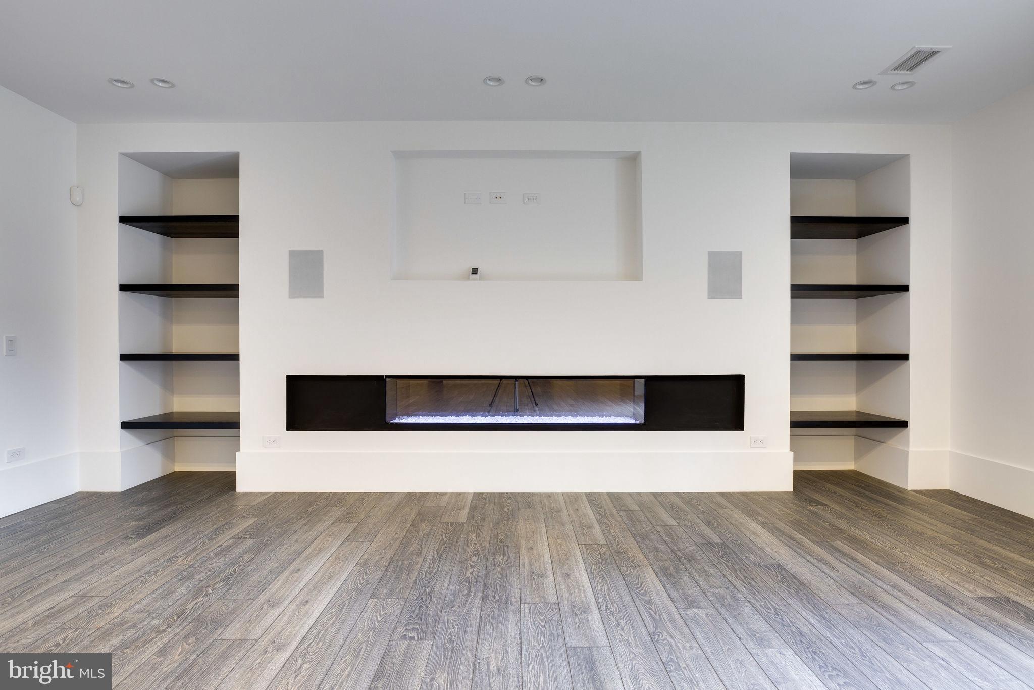 23075 Red Sunset Place Aldie, VA 20105 - Photo 64 of 89 Lower Level linear fireplace w/ shelves & TV niche