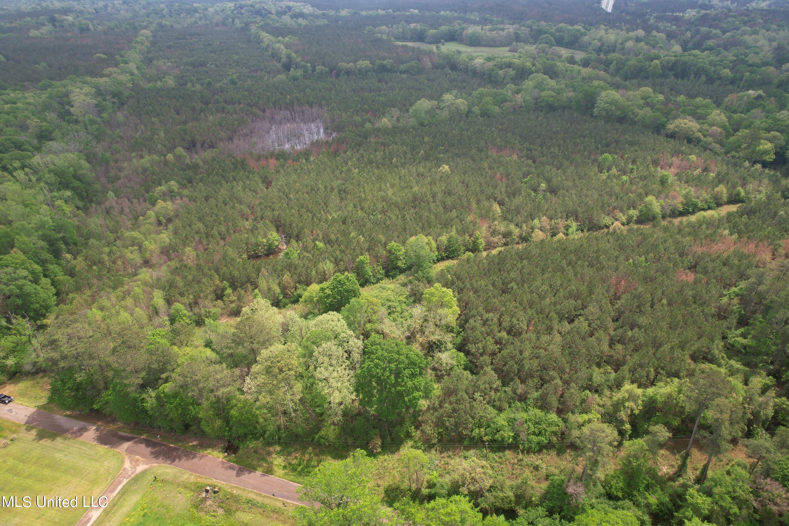 Campbell Creek Road Mendenhall, MS 39114 - Photo 1 of 24 DJI_0270