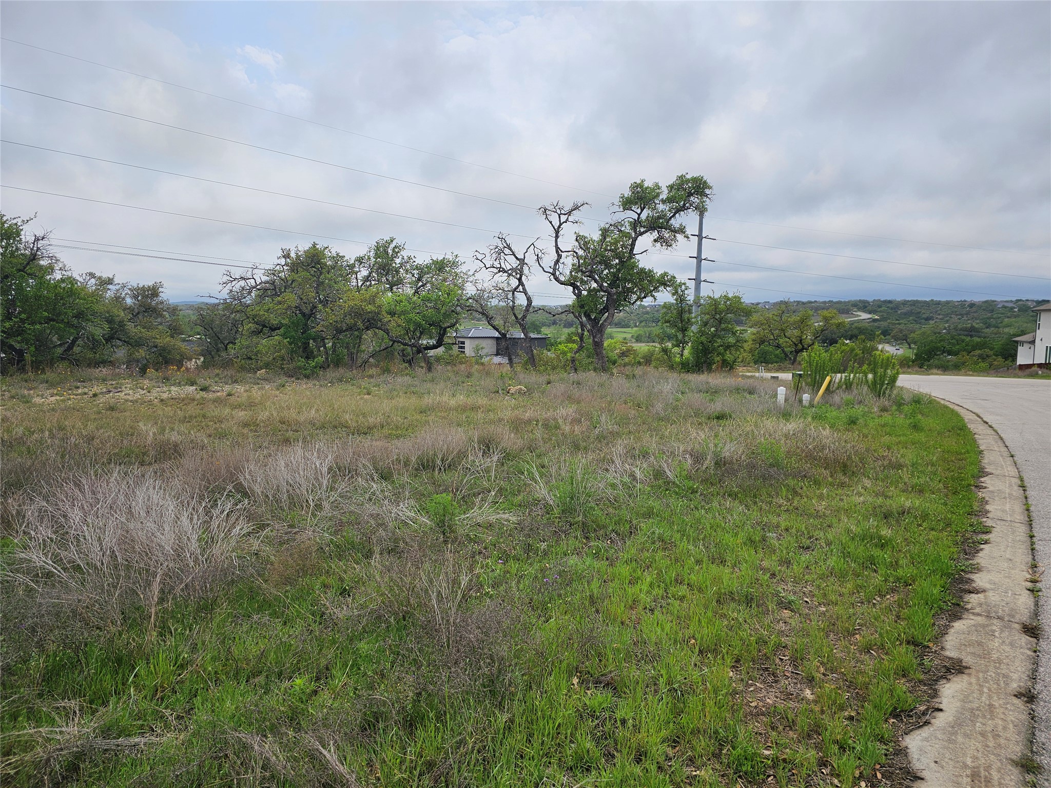 130 Capstone Court Dripping Springs, TX 78620 - Photo 6 of 10 a view of a big yard with large trees