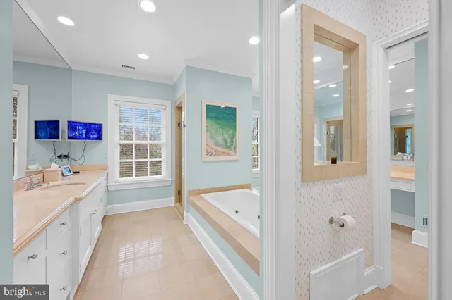 a bathroom with a tub shower sink vanity and a tub