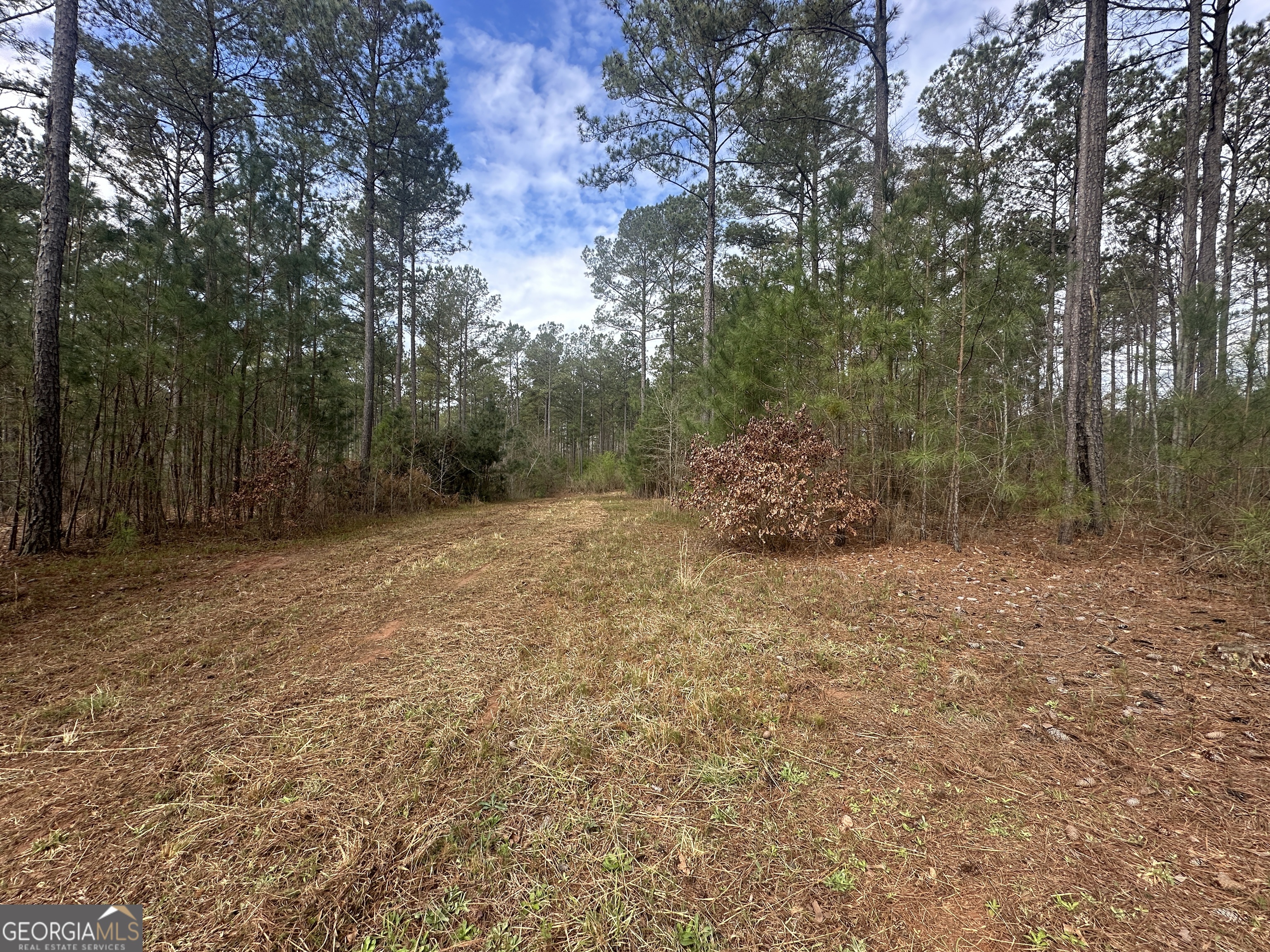 1461 North Walker's Mill Road Unit 6 98 ACRES  