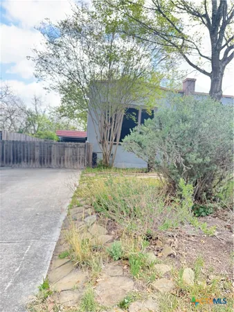 a view of a yard with plants and a large tree