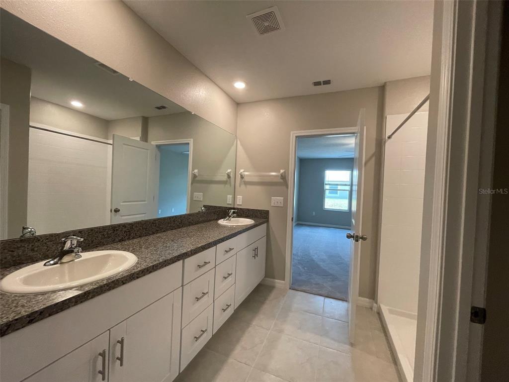 31796 Sun Kettle Loop Wesley Chapel, FL 33545 - Photo 8 of 21 a bathroom with double sink and a mirror