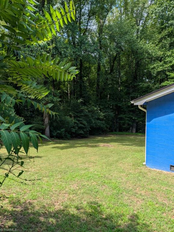 135 Redbud Road Eden, NC 27288 - Photo 22 of 24 Back Yard