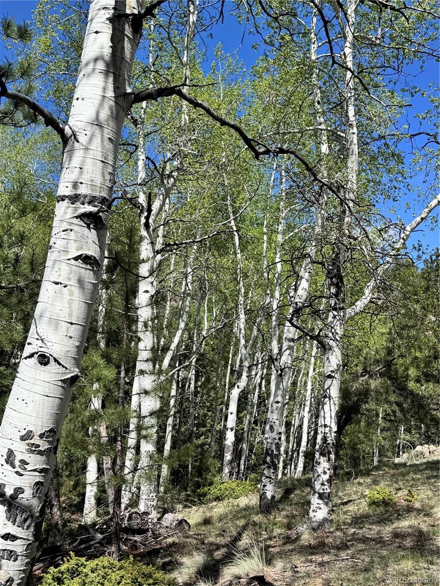 Dilley Road Westcliffe, CO 81252 - Photo 11 of 16