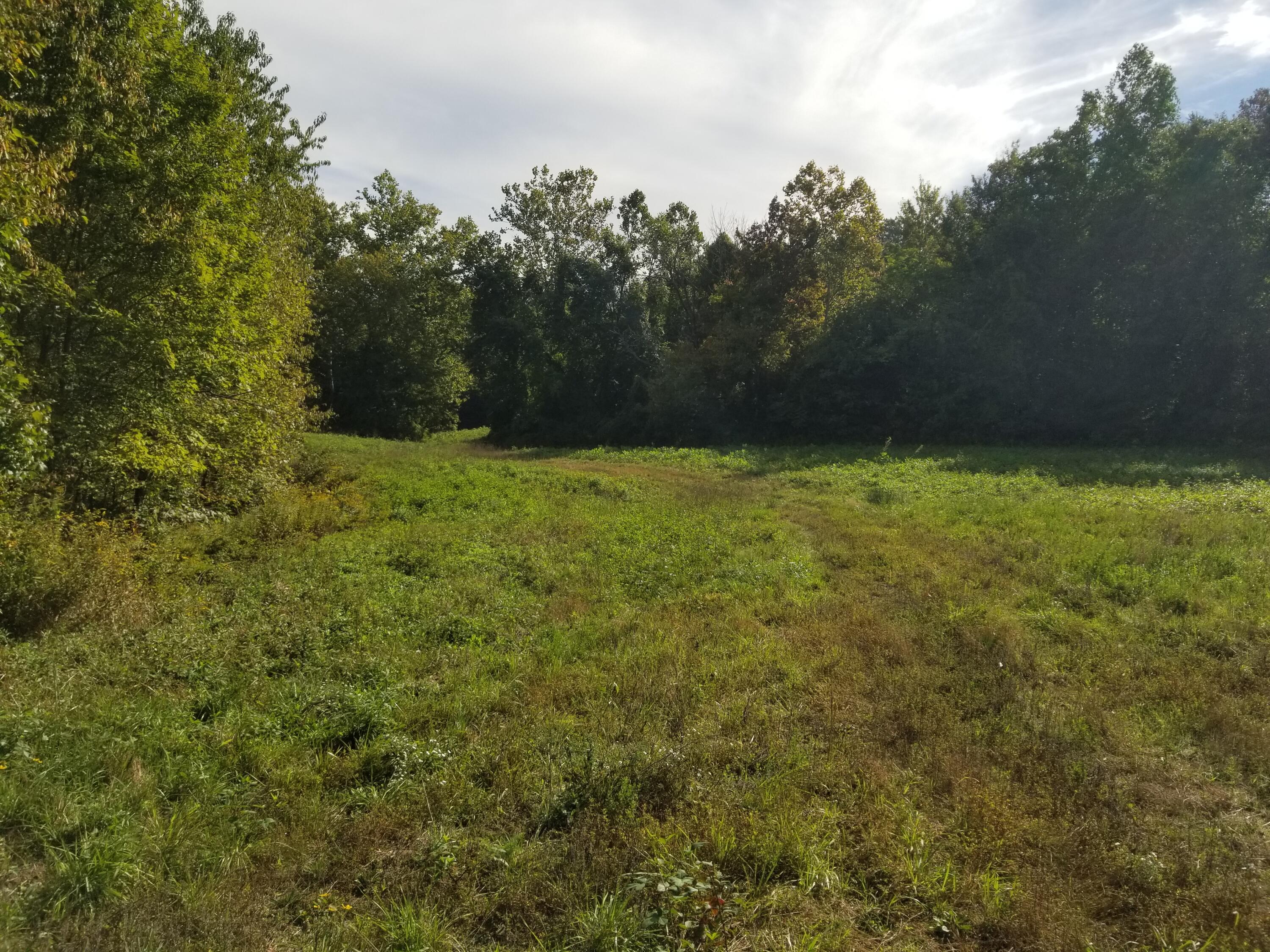 1 Estridge Road Paint Lick, KY 40461 - Photo 2 of 8 20211001_111059