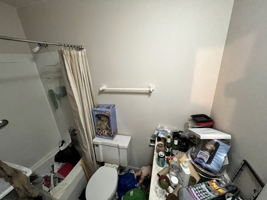 4721 St Joseph Creek Road, Unit 5F Lisle, IL 60532 - Photo 8 of 11 a bathroom with a toilet and a mirror