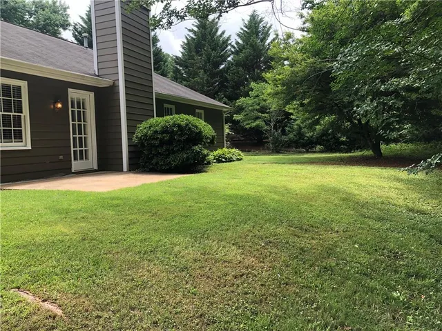 a view of a backyard with large trees and plants