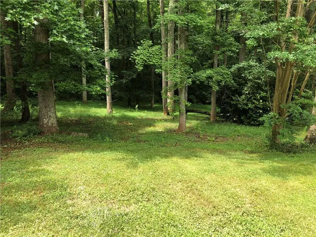 a backyard of a house with plants and large trees