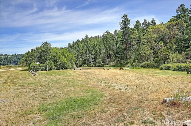 a view of yard with large trees