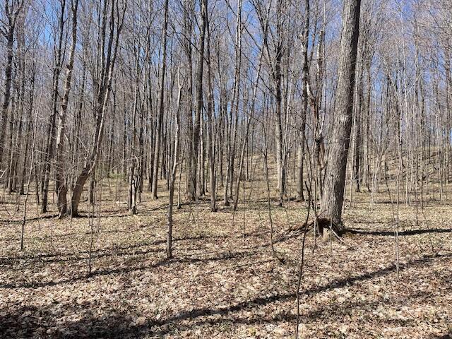 Bilder Road Wolverine, MI 49799 - Photo 12 of 22 Gallery Image 12