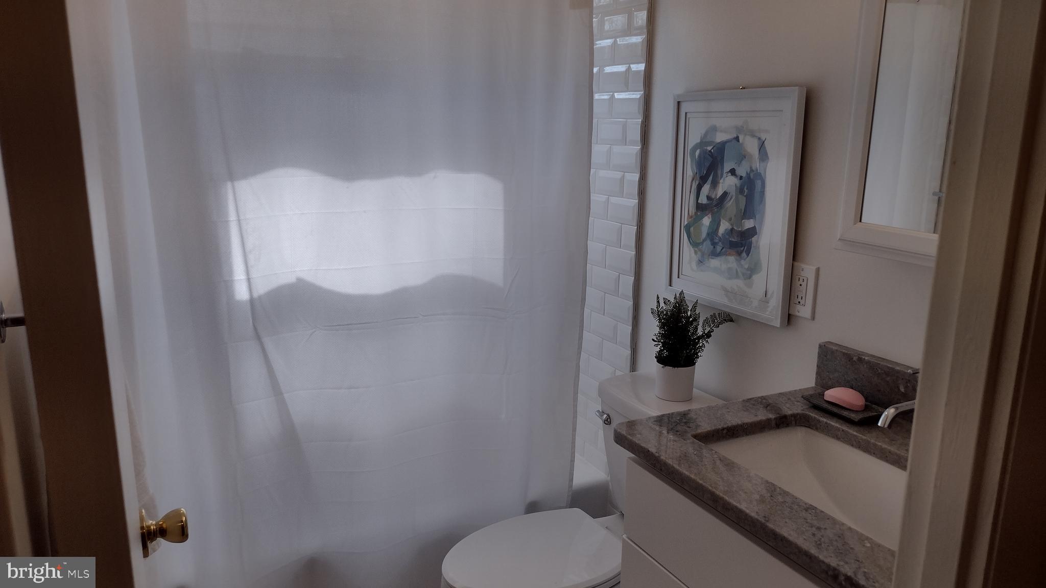 254 Candytuft Road Reisterstown, MD 21136 - Photo 18 of 44 1st Floor Bathroom with Spectacular Fixtures