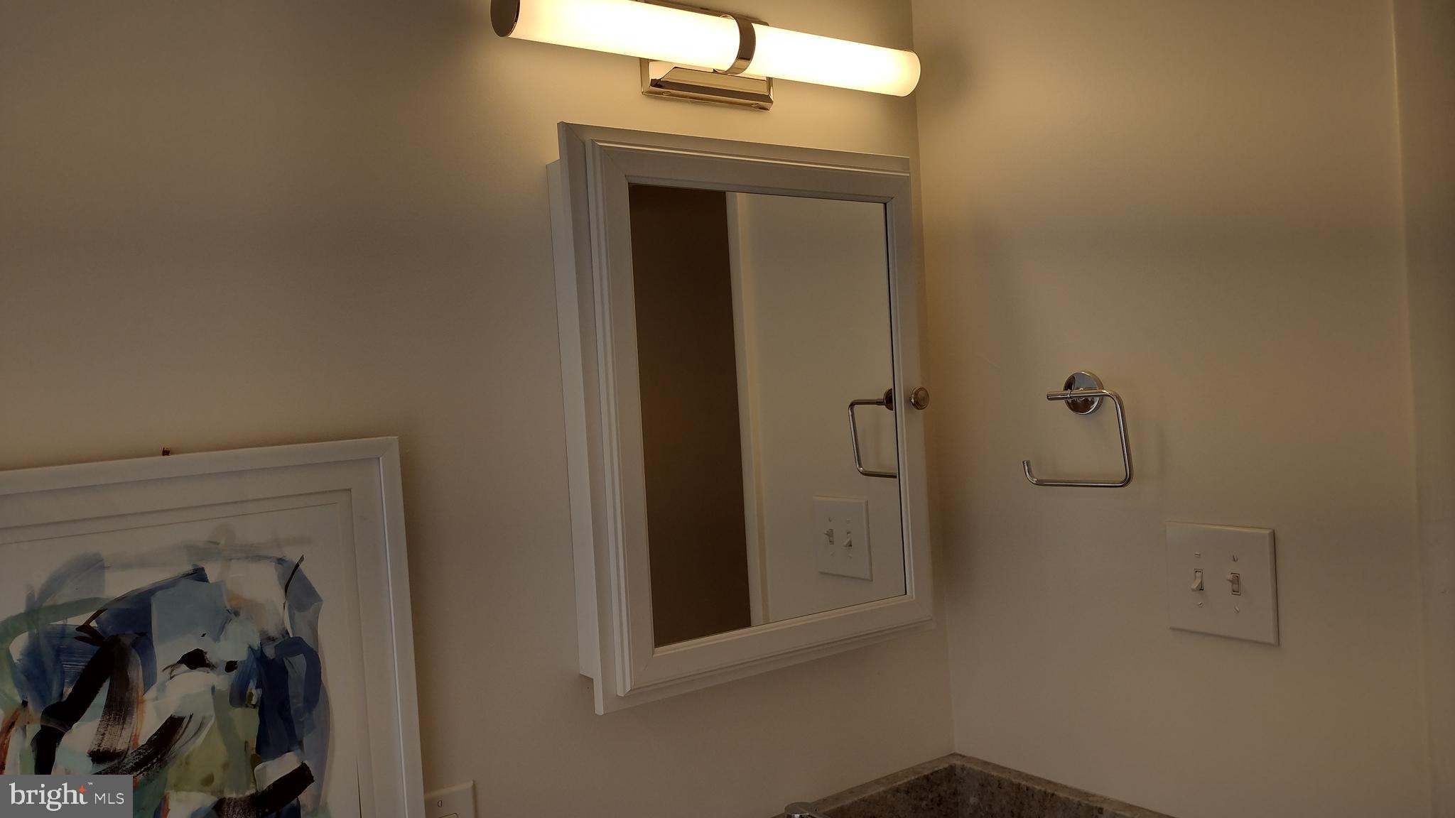 254 Candytuft Road Reisterstown, MD 21136 - Photo 20 of 44 1st Floor Bathroom