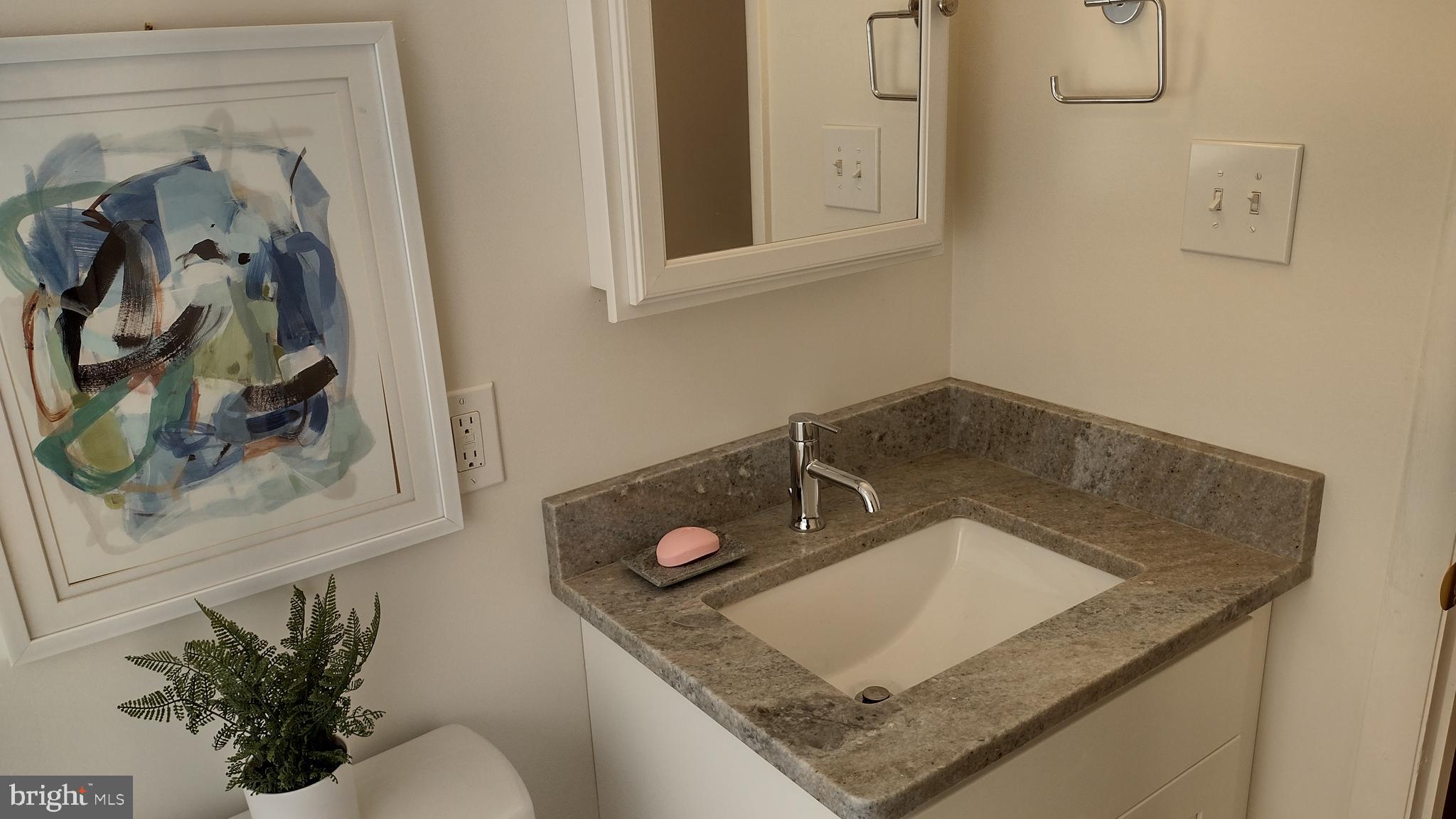 254 Candytuft Road Reisterstown, MD 21136 - Photo 21 of 44 1st Floor Bathroom