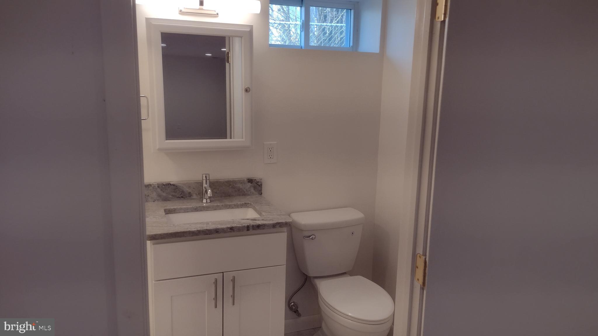 254 Candytuft Road Reisterstown, MD 21136 - Photo 36 of 44 Basement w/ All New Full Bathroom