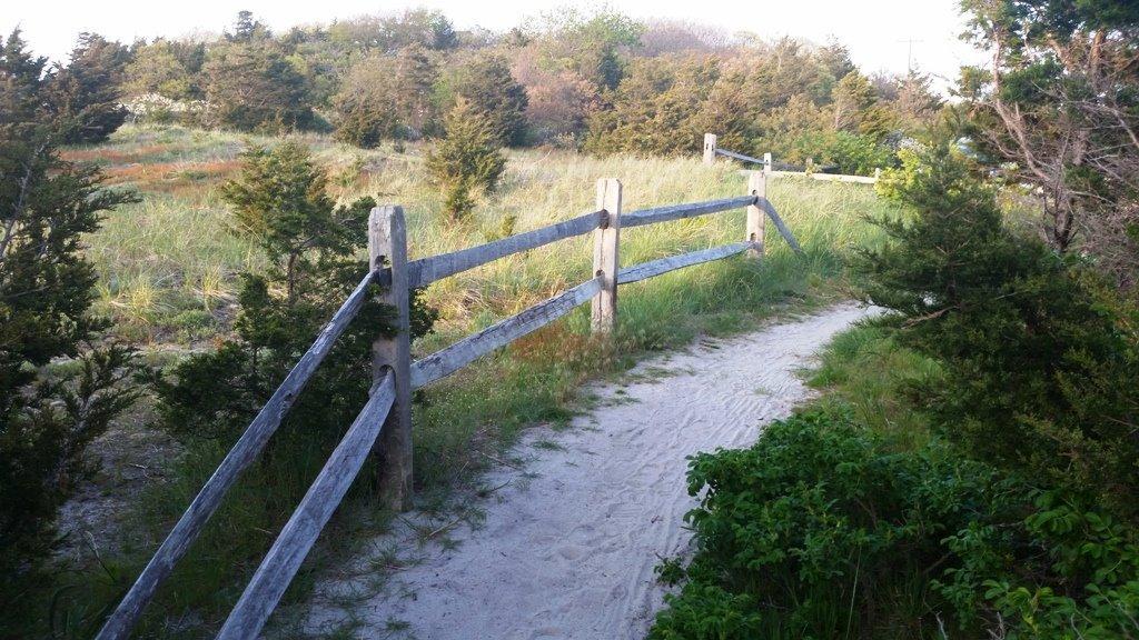 60 John Thomas Road Eastham, MA 02642 - Photo 13 of 14 a view of a forest with a yard