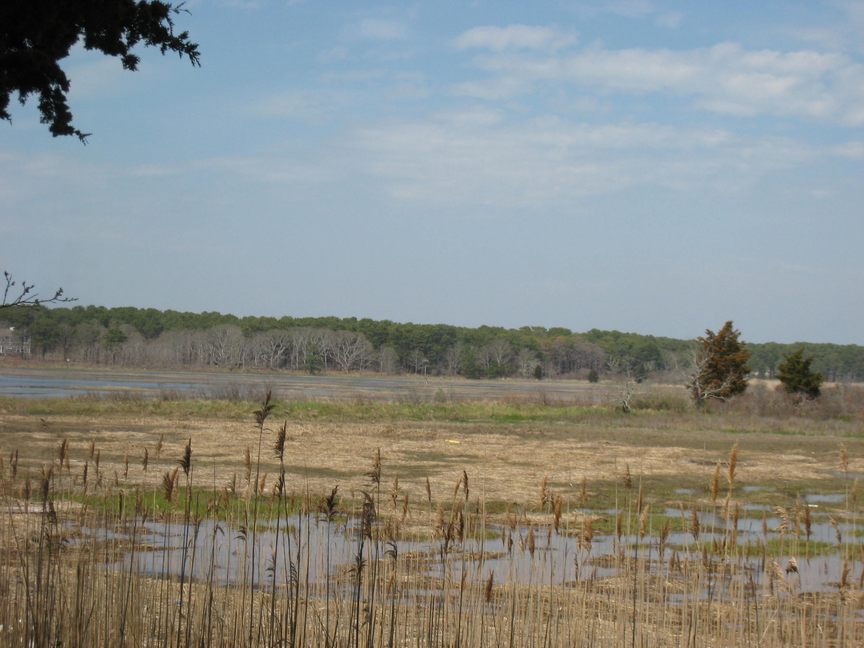 60 John Thomas Road Eastham, MA 02642 - Photo 8 of 14 a view of lake with mountain