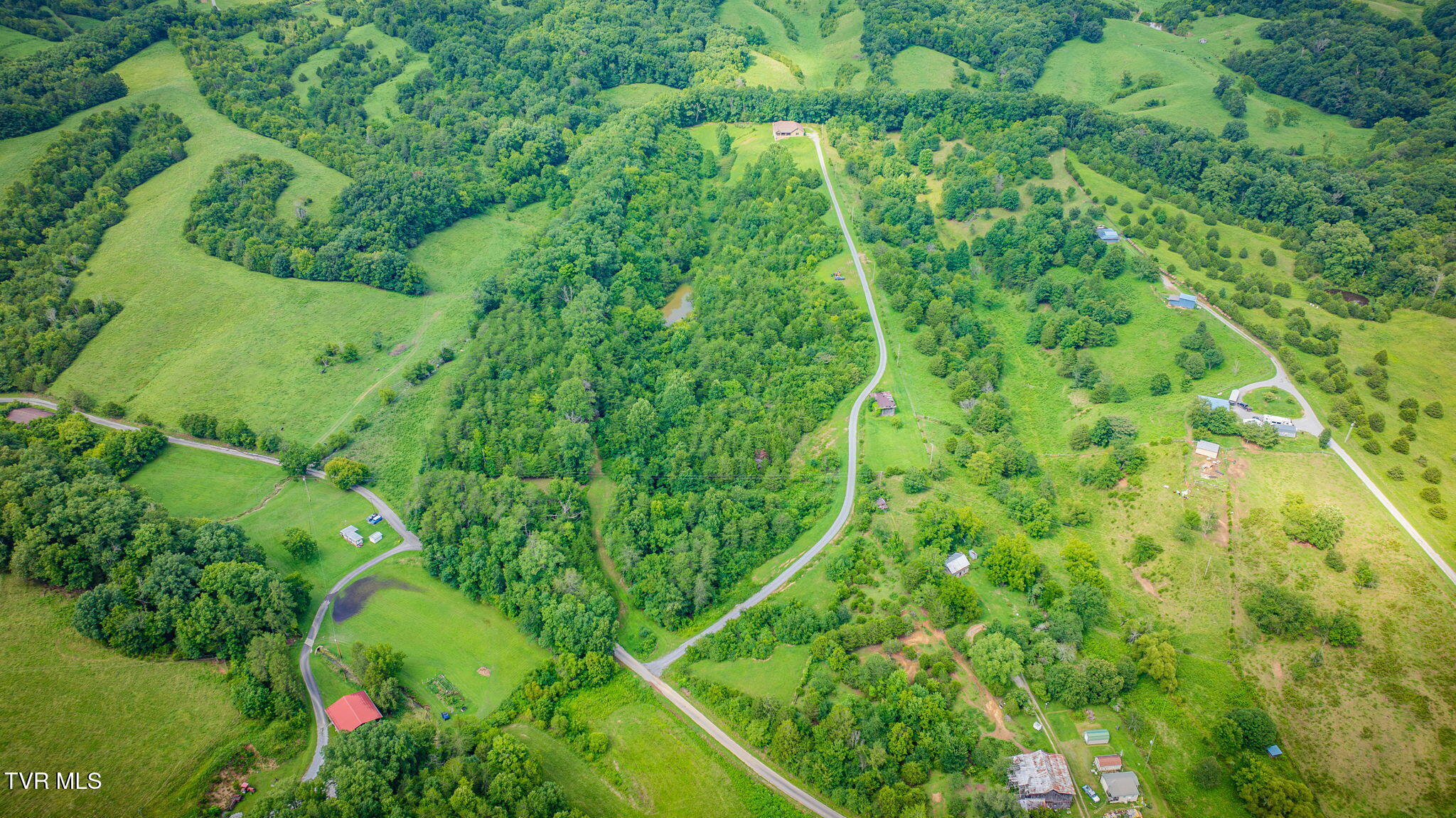 1570 Carl Doty Road Afton, TN 37616 - Photo 52 of 74 103