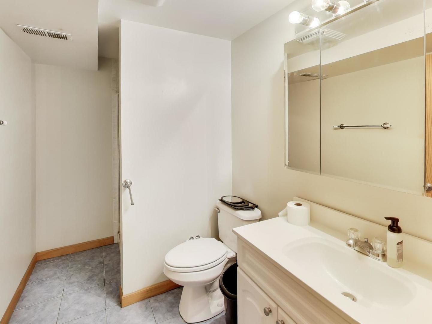 313 Fox Bend Circle Bolingbrook, IL 60440 - Photo 46 of 58