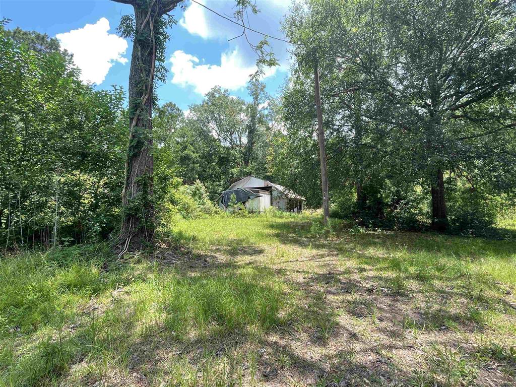 1350 Ogese Cormier Road Vinton, LA 70668 - Photo 27 of 28